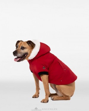 Moose Knuckles Pooch Parka Pet Dam Mörkröda Vita | GYPO-59240