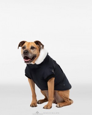 Moose Knuckles Pooch Parka Pet Dam Svarta Vita | PXDA-68453