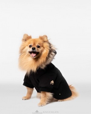Moose Knuckles Pooch Parka Pet Dam Svarta Guld | RQJB-27061