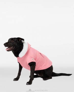 Moose Knuckles Pooch Parka Pet Dam Vita | RCQP-83720