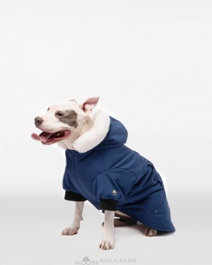 Moose Knuckles Pooch Parka Pet Herr Blå Vita | ALTX-54631