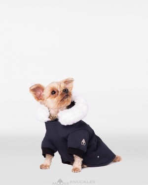 Moose Knuckles Pooch Parka Pet Herr Marinblå Vita | GTJS-13526
