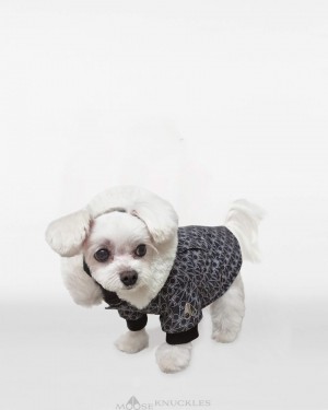 Moose Knuckles Pooch Parka Pet Herr Monogram / Natural Fur | XSCU-23168