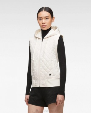 Moose Knuckles Rock Point Vest Vests Dam Plaster | VYSE-15082